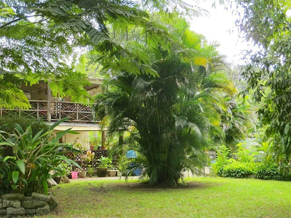 Barbados Chi Centre Lägenhet Bridgetown Barbados