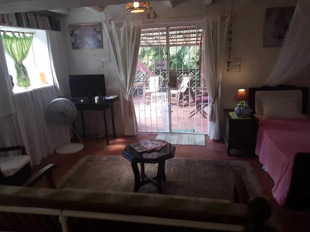 Barbados Chi Centre Apartment Bridgetown Barbados